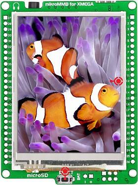 MIKROE-755 | 파츠바다 - 모든 전자부품의 정답