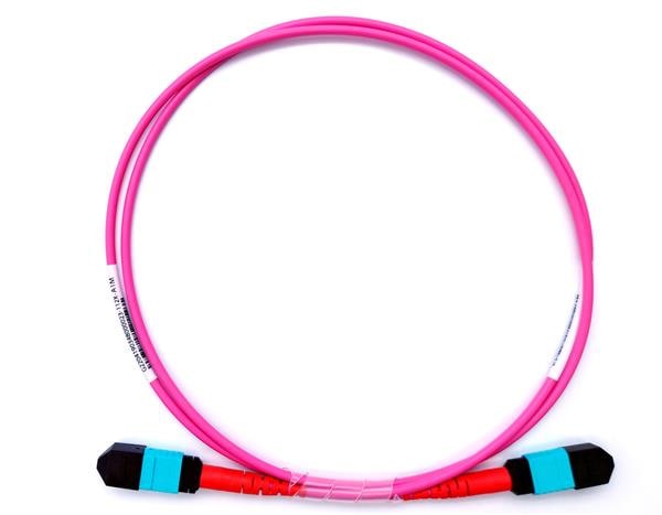 EXTENDER MTP24-F 1M POLARITY A | 파츠바다 - 모든 전자부품의 정답