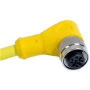 C4D02M006 | 파츠바다 - 모든 전자부품의 정답