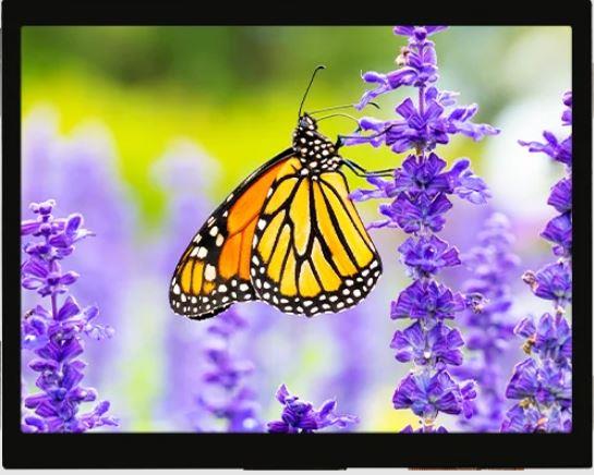 RVT35HHTFWCA0 | 파츠바다 - 모든 전자부품의 정답